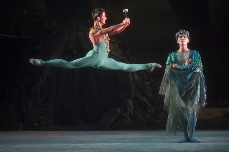 <p><em>The Dream:</em> Mathias Dingman as Puck and Chi Cao as Oberon</p>. Credit: Bill Cooper.