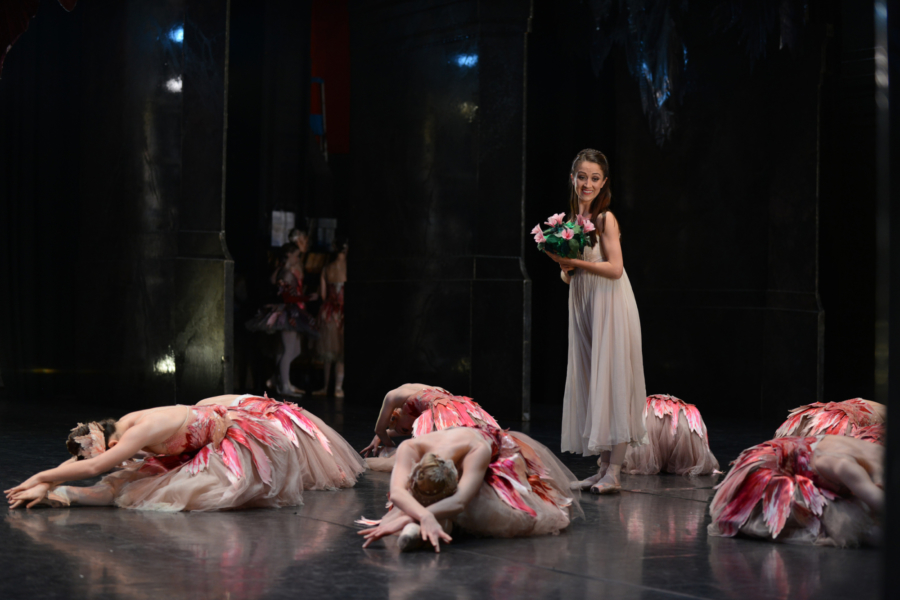 <p><em>The Nutcracker </em>from the wings: Laura Purkiss as Clara with Artists of Birmingham as Flowers</p>. Credit: Roy Smiljanic.