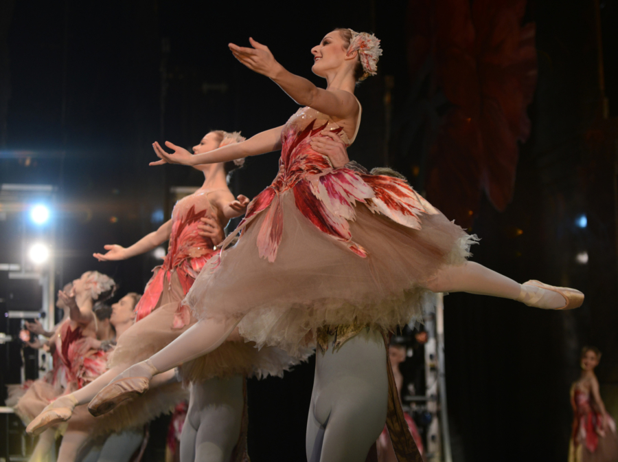 <p><em>The Nutcracker</em> from the wings: Laura-Jane Gibson as a Flower</p>. Credit: Roy Smiljanic.